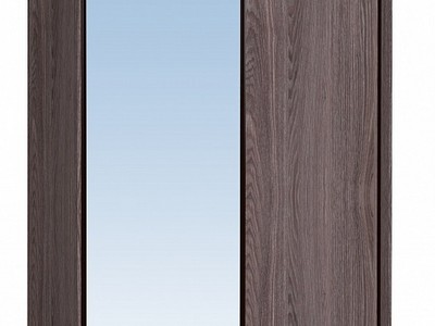 Шкаф-купе 1600 Домашний зеркало/лдсп + шлегель, Ясень Анкор темный